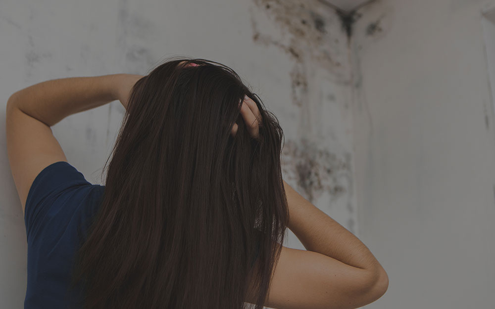 Mold remediation in Miami